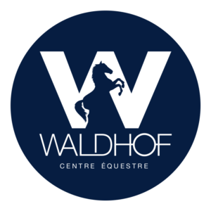 logo waldhof