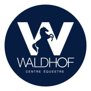 logo waldhof